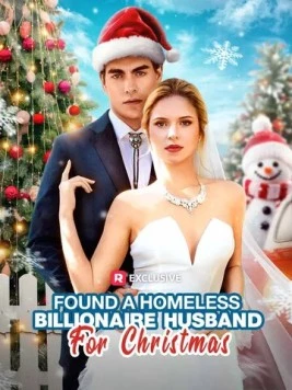 Постер: Муж-миллиардер на новогодние праздники / Found a Homeless Billionaire Husband for Christmas (2024)