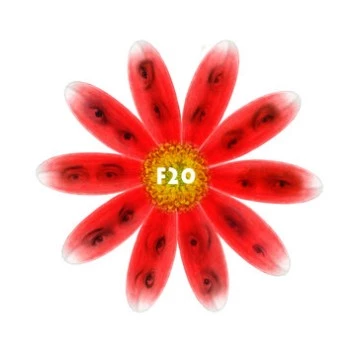 Постер: F20 (2011)