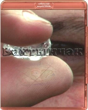 Постер: Бахтынчак (2010)