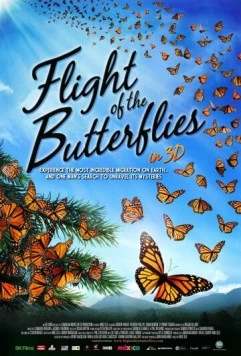 Постер: Полет бабочек / Flight of the Butterflies (2012)