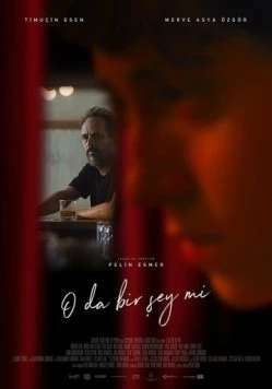 Постер: Остальное - потом / O da Bir Sey mi (2025)