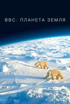 Постер: BBC: Планета Земля / Planet Earth (2007)