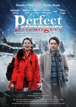 Постер: Идеальные незнакомцы / Perfect Strangers (2020)