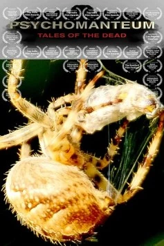 Постер: Психомантиум / Psychomanteum (2018)