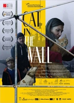 Постер: Кот в стене / Cat in the Wall (2019)