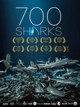 Постер: 700 акул / 700 requins dans la nuit (2018)