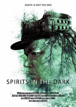 Постер: Духи во тьме / Spirits in the Dark (2020)