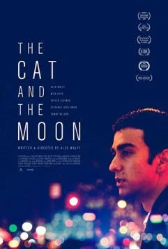 Постер: Кот и луна / The Cat and the Moon (2019)