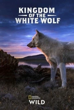 Постер: Королевство белого волка / Kingdom of the White Wolf (2019)