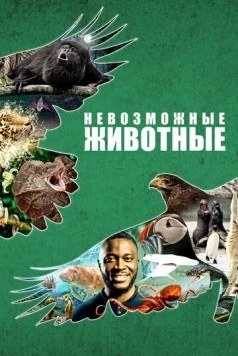 Постер: Невозможные животные / Impossible Animals (2021)