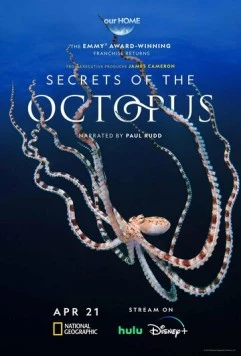 Постер: Секреты осьминога / Secrets of the Octopus (2024)