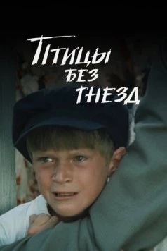 Постер: Птицы без гнезд (1996)