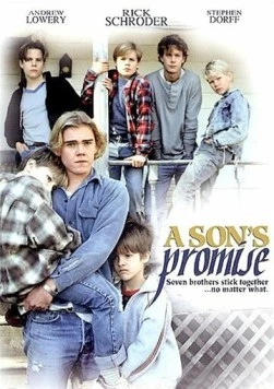 Постер: Обещание сына / A Son's Promise (1990)