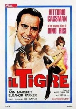 Постер: Тигр / Il tigre (1967)
