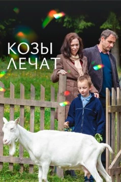 Постер: Козы лечат (2017)