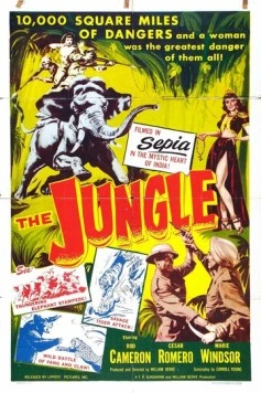 Постер: Джунгли / The Jungle (1952)