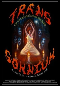 Постер: Чёрные призраки / Trans Somnium (2015)