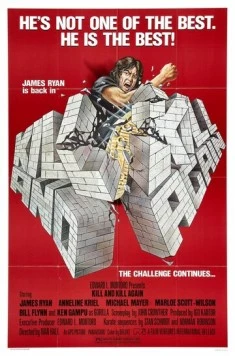 Постер: Убить дважды / Kill and Kill Again (1981)