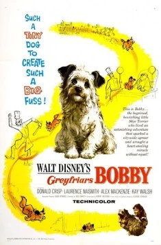 Постер: Бобби из Грейфраерса: Правдивая история / Greyfriars Bobby: The True Story of a Dog (1961)
