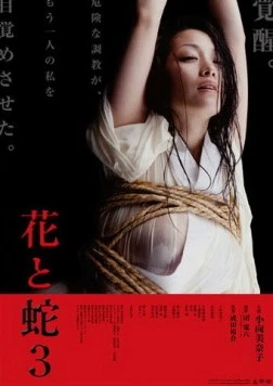 Постер: Цветок и змея 3 / Hana to hebi 3 (2010)