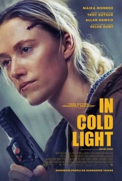 Постер: В холодном свете / In Cold Light (2025)