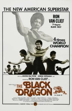 Постер: Чёрный Дракон / Xia nan yang (1974)