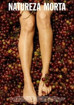 Постер: Натюрморт / Natureza Morta (2020)