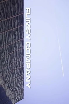 Постер: Сомнительная компания / Flimsy Company (2018)