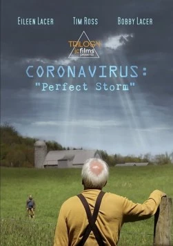 Постер: Коронавирус: Идеальный шторм / Coronavirus: Perfect Storm (2020)