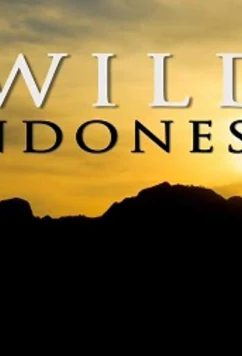 Постер: Дикая Индонезия / Destination Wild: Indonesia (2015)