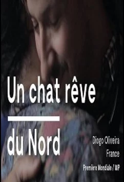 Постер: Кот, мечтающий о севере / Un Chat Rêve Du Nord (2020)