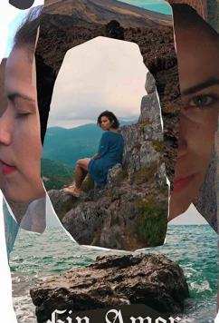 Постер: Куртуазная любовь / Fin Amor (2019)