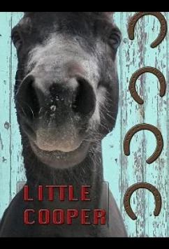 Постер: Маленький Купер / Little Cooper (2020)