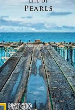 Постер: National Geographic. Секретная жизнь жемчужин / The Secret Life of Pearls (2015)