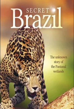 Постер: Неизвестная Бразилия / Secret Brazil (2012)