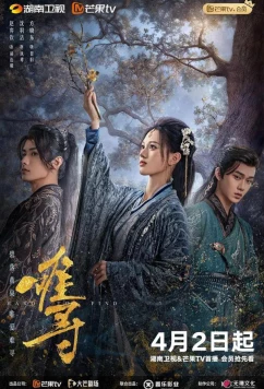 Постер: Трудно обрести / Nan Xun / Hard to Find (2024)