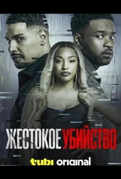 Постер: Жестокое убийство / Vicious Murder (2024)