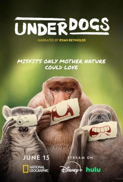 Постер: Аутсайдеры / Underdogs (2025)