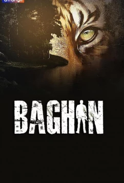 Постер: Багин / Baghin (2024)