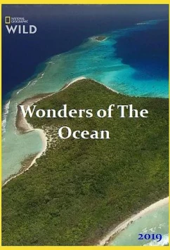Постер: Чудеса океана / Wonders of The Ocean (2019)
