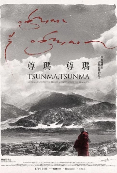 Постер: Цунма, Цунма: лето с монахинями в Гималаях / Tsunma, Tsunma: My Summer with the Female Monastics of the Himalaya (2018)