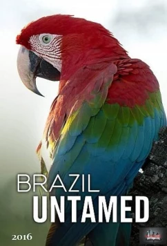 Постер: Дикая Бразилия / Brazil Untamed (2016)