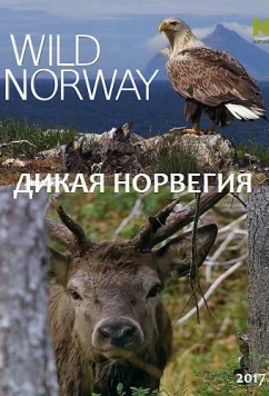 Постер: Дикая Норвегия / Wild Norway (2017)