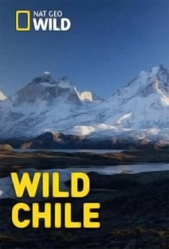 Постер: Дикая природа Чили / Wild Chile (2018)