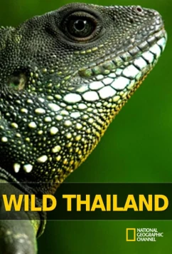 Постер: Дикая природа Таиланда / Wild Thailand (2013)