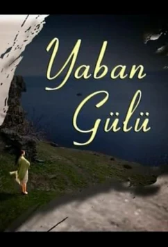 Постер: Дикая роза / Yaban Gülü (2008)