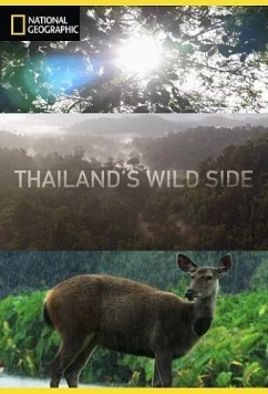 Постер: Дикие места Таиланда / Thailand's Wild Side (2020)