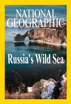 Постер: Дикое море России / Russia's Wild Sea (2019)