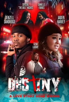 Постер: Дэстини: неудачная история о любви / Destiny: A Love Story Gone Wrong (2024)