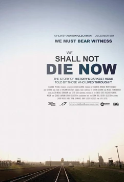 Постер: Еще не время умирать / We Will Not Die Tonight (2018)